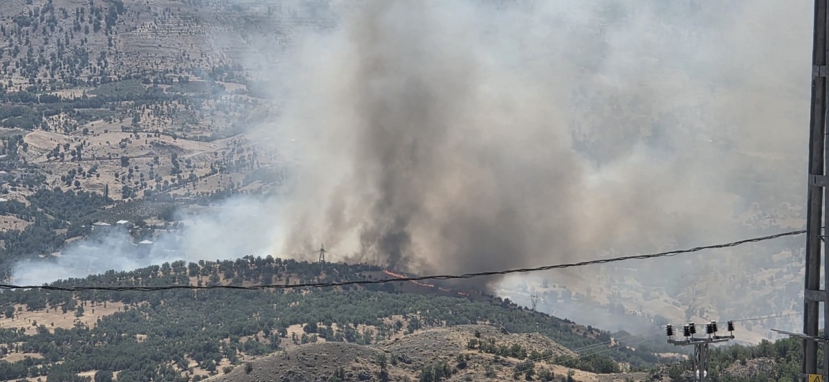 Adıyaman’da ormanlık alanda yangın  - Videolu Haber