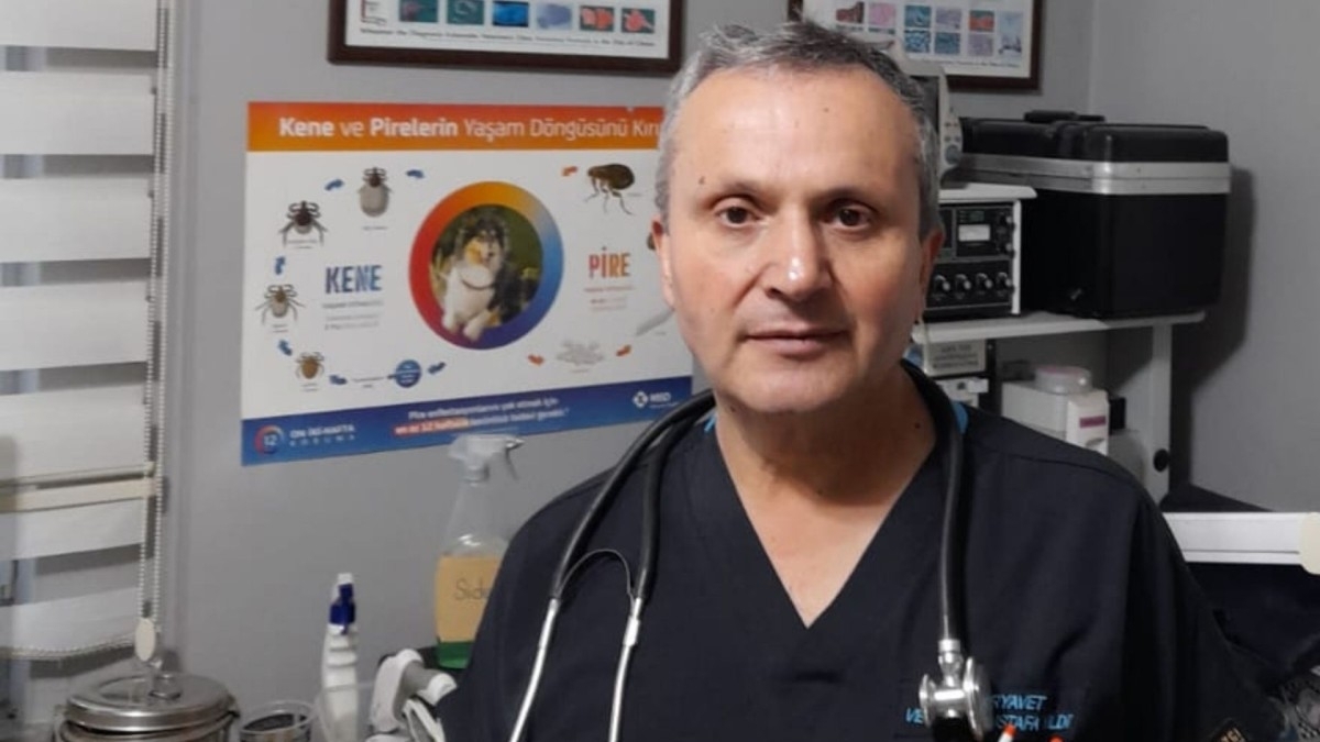 Veteriner Hekim Mustafa Yıldız: 'Hayvansal üretim yapan yetiştiricilerin silaj yapma zamanı'