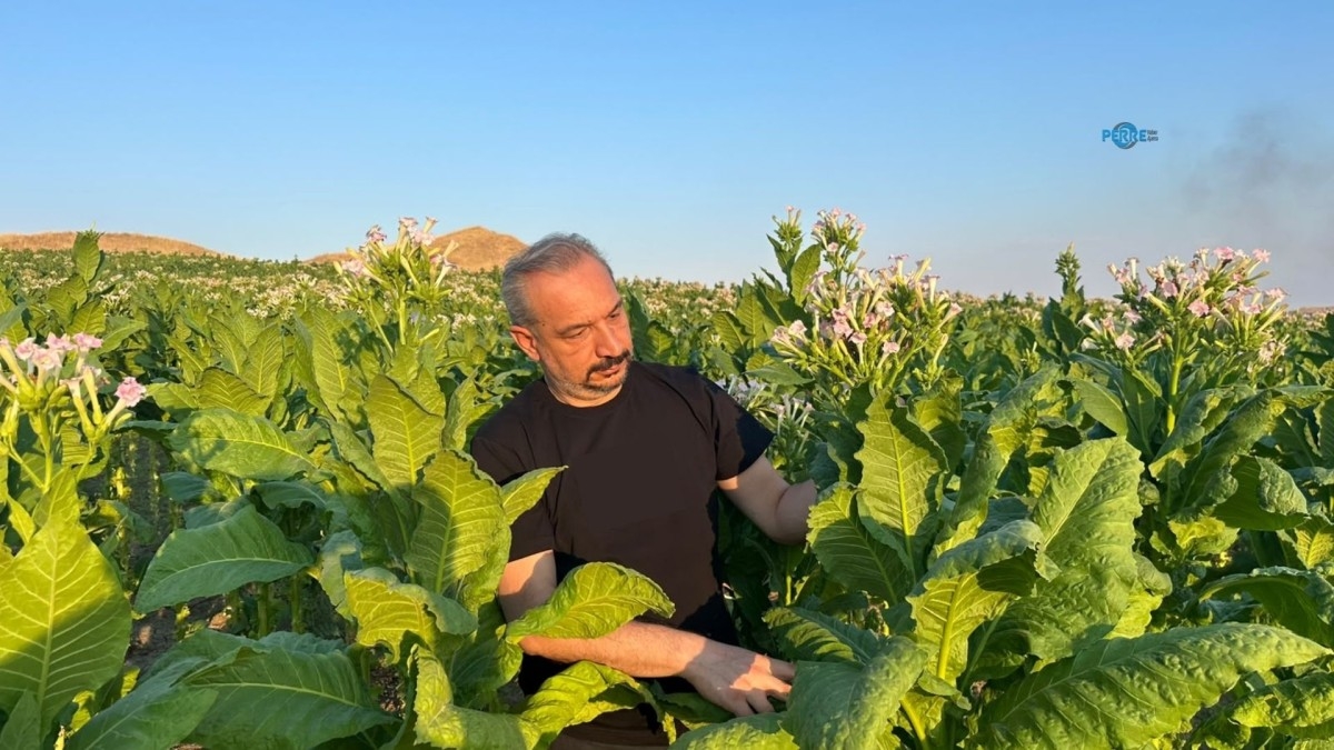 Adıyaman’da bademe öngörülebilir fiyat, tütün üreticisine destek çağrısı
